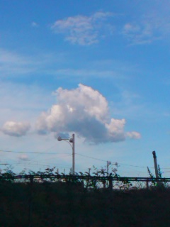 (untitled)