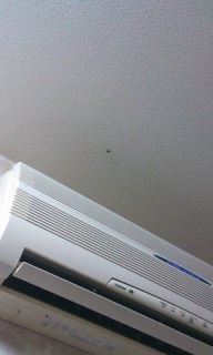 (untitled)