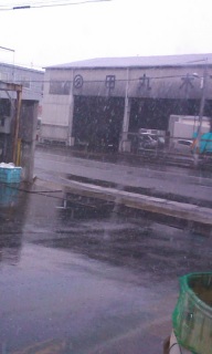 (untitled)