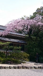 (untitled)